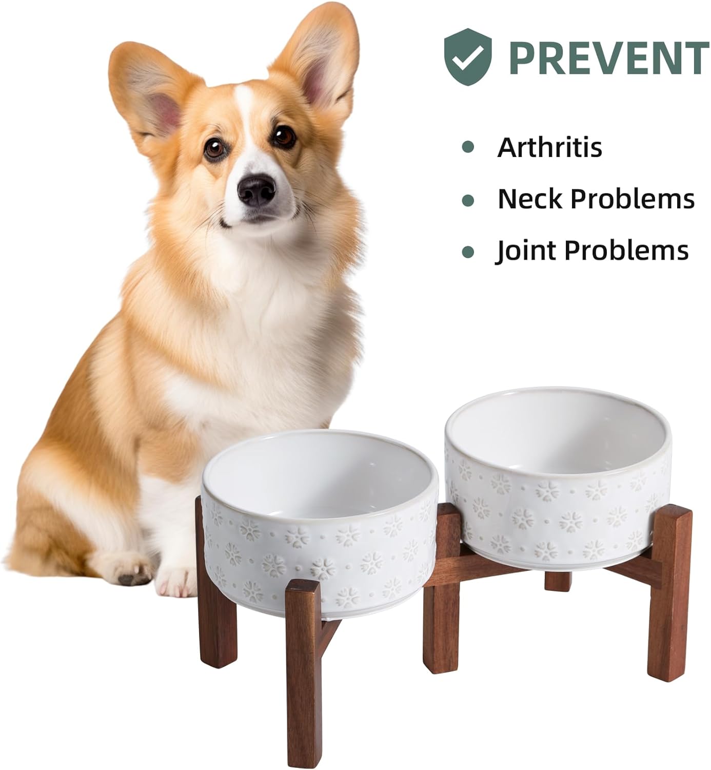 6.1inch Ceramic Raised Double Bowls Set with Acacia Wood Stand  2 Heights Elevated  Food & Water Bowls for Small Breed Dogs  Weighted Dog Dishes  Pet Bowl(27oz  Arctic White)