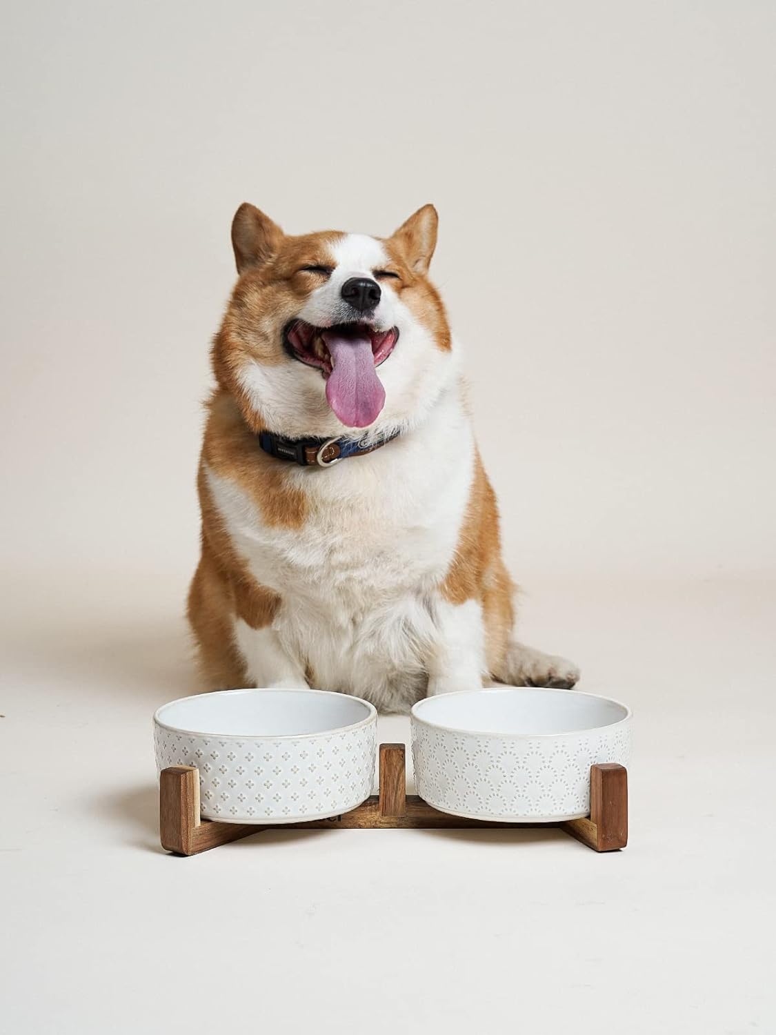 LE TAUCI Dog Bowl Set with Acacia Wood Stand - 1.5-Cup Ceramic Puppy Bowls for Small Dogs  Dual Food and Water Bowls with Weighted Non-Slip Base