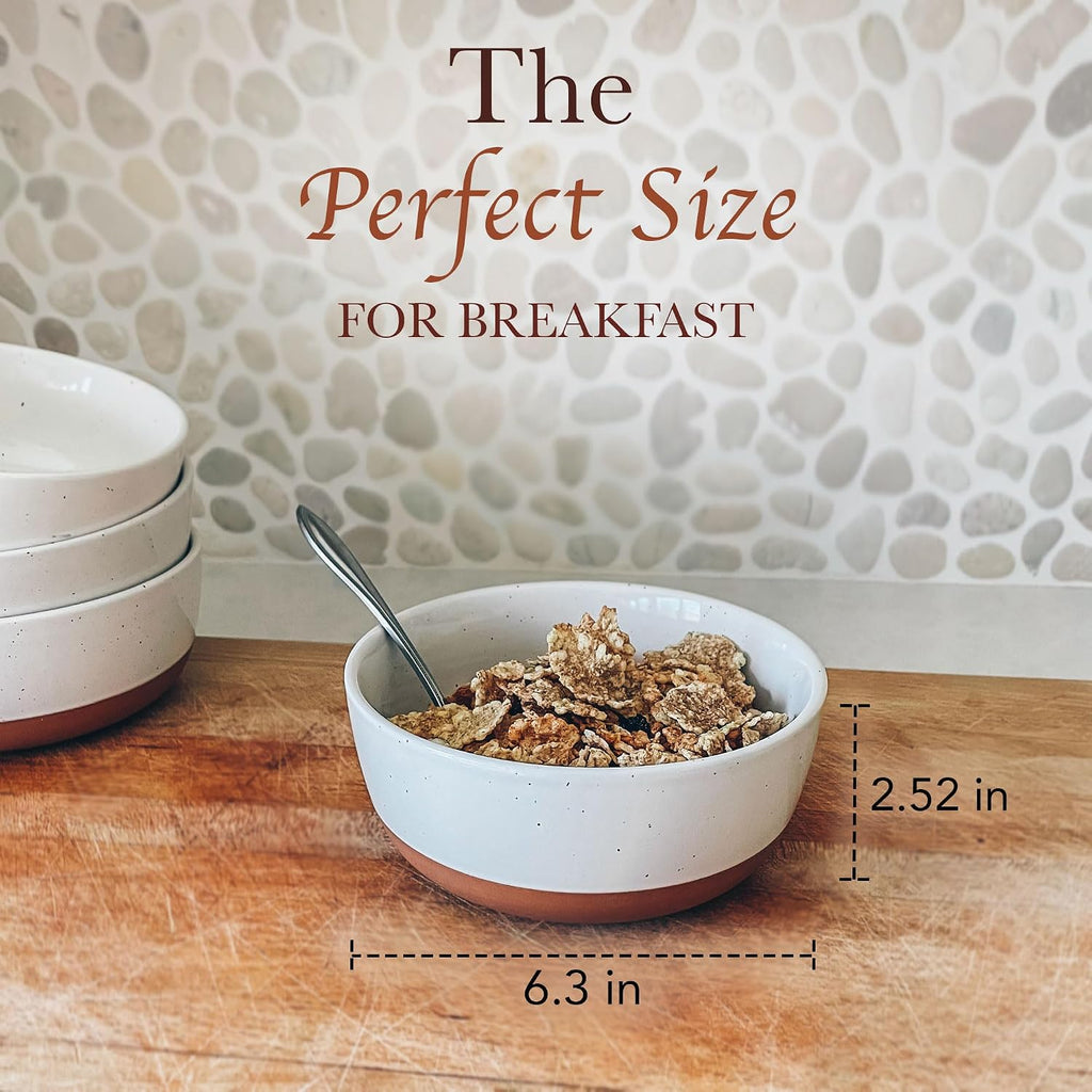 Set of 4 Porcelain Bowls  25oz - Microwave  Dishwasher & Oven Safe for Soup  Cereal  etc.
